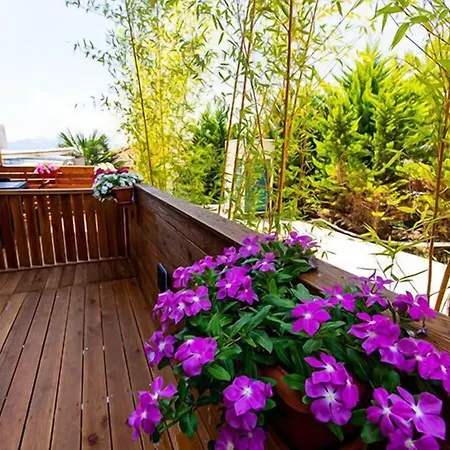 Hotel Apollon (adults Only) Saranda