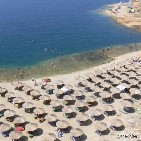 Apollon (adults Only)